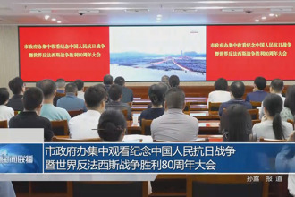 市政府门户办集中观看中国人民抗日战争暨世界反法西斯战争胜利80周年纪念大会