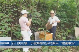 石门夹山镇：小蜜蜂酿出乡村振兴