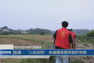 临澧：