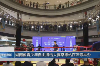 湖南省青少年自由搏击大赛常德站在汉寿举办