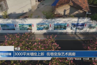 桃源：3000平米墙绘上新 街巷变身艺术画廊