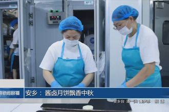安乡： 酱卤月饼飘香中秋