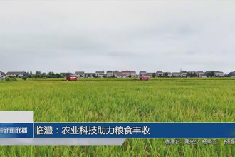 临澧：农业科技助力粮食丰收