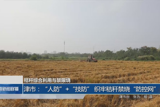 津市：