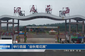 汉寿：举行首届