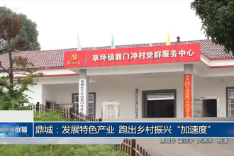 鼎城：发展特色产业 跑出乡村振兴