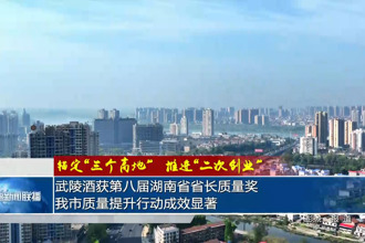 武陵酒获第八届湖南省省长质量奖 我市质量提升行动成效显著