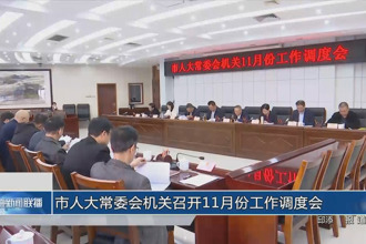 市人大常委会机关召开11月份工作调度会