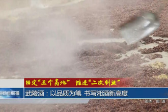 武陵酒：以品质为笔 书写湘酒新高度
