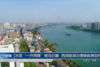 水质
