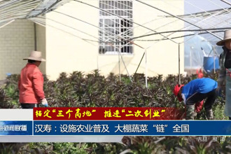 汉寿：设施农业普及 大棚蔬菜