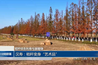 汉寿：秸秆变身