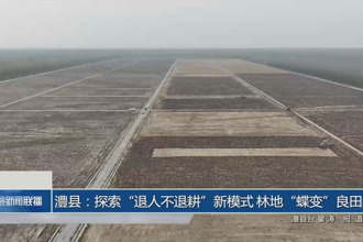 澧县：探索