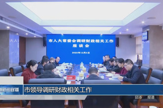 市领导调研财政相关工作