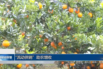 桃源：