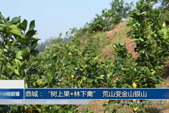 鼎城：