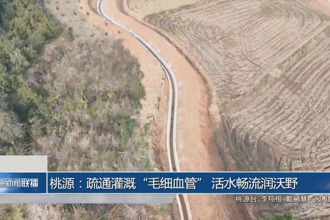 桃源：疏通灌溉