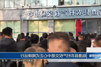 临澧县农村产权交易中心正式揭牌运行