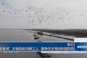 汉寿：西洞庭湖创新生态修复 人工碟形湖成候鸟