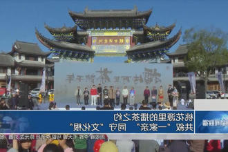 澳门新葡新京在线里的擂茶之约：共叙