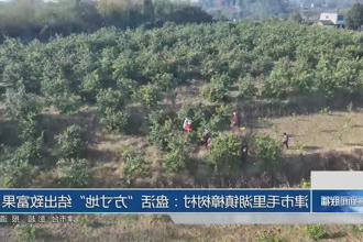津市毛里湖镇樟树村：盘活