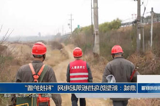 鼎城：新型防鸟挡板筑起电网
