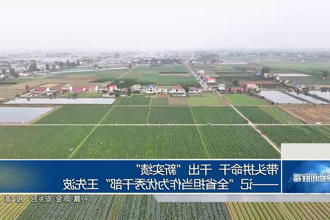 带头拼命干 干出