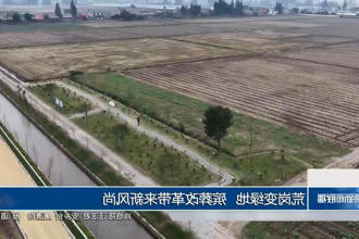 荒岗变绿地 殡葬改革带来新风尚