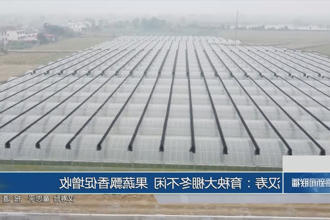 汉寿：育秧大棚冬不闲 果蔬飘香促增收