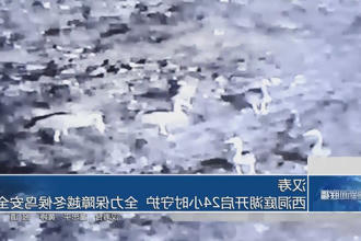 汉寿：西洞庭湖开启 24 小时守护 全力保障越冬候鸟安全