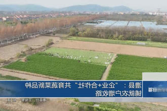 澧县：