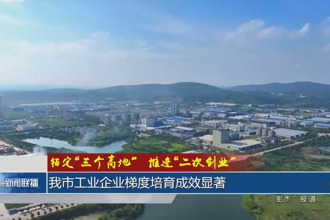 锚定