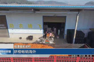 临澧县岩龙村：脐橙畅销海外