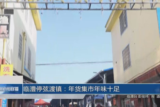 临澧：停弦渡镇年货集市年味十足