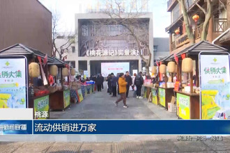 桃源：流动供销进万家