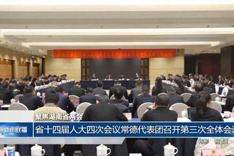 常德代表团集中审议政府工作报告