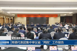 常德代表团集中审议省