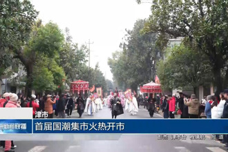 津市：首届国潮集市火热开市