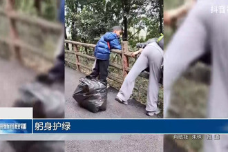 躬身护绿