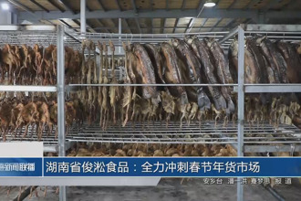 湖南省俊淞食品：全力冲刺春节年货市场