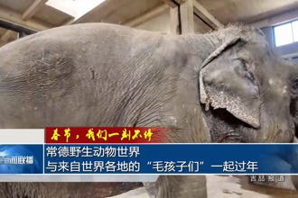常德野生动物世界：与来自世界各地的
