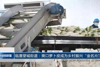 临澧望城街道：爽口萝卜皮成为乡村振兴