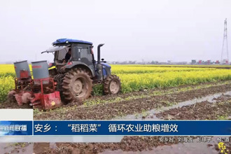 安乡： 