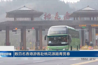 数百名香港游客赴新澳门葡京在线娱乐踏青赏春