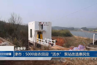 津市：5000亩农田迎