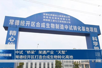 中试