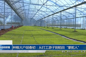 种粮大户胡春初：从打工游子到稻田