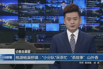 桃源杨溪桥镇：