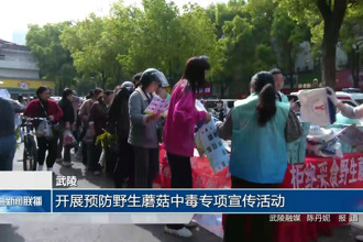 武陵：开展预防野生蘑菇中毒专项宣传活动