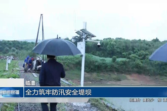 临澧：全力筑牢防汛安全堤坝